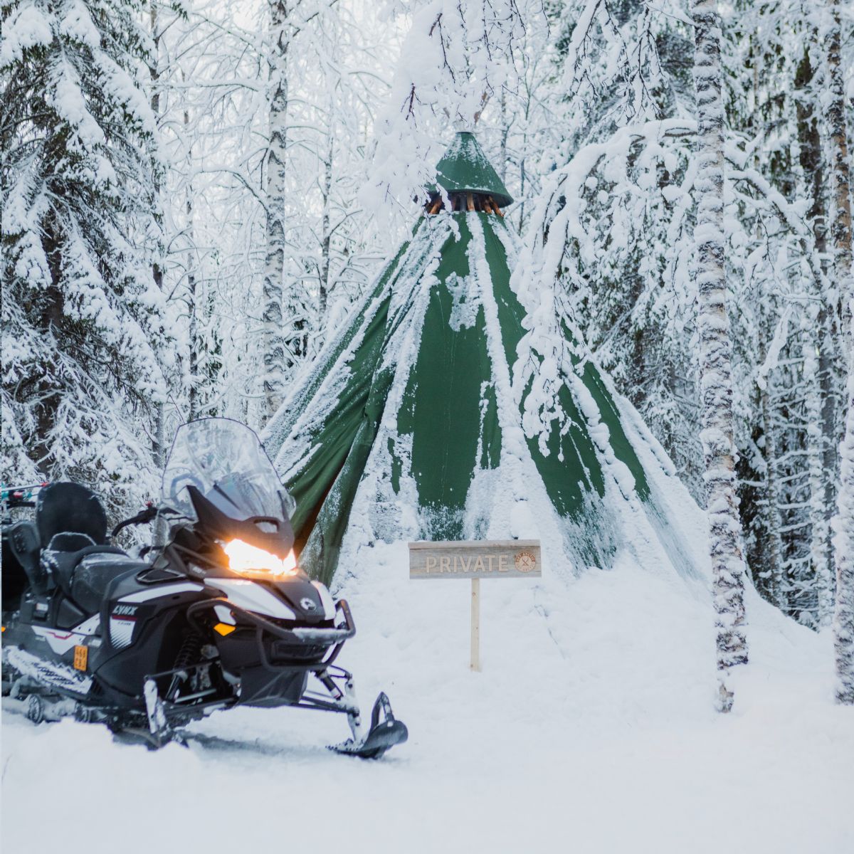 Get Arctic